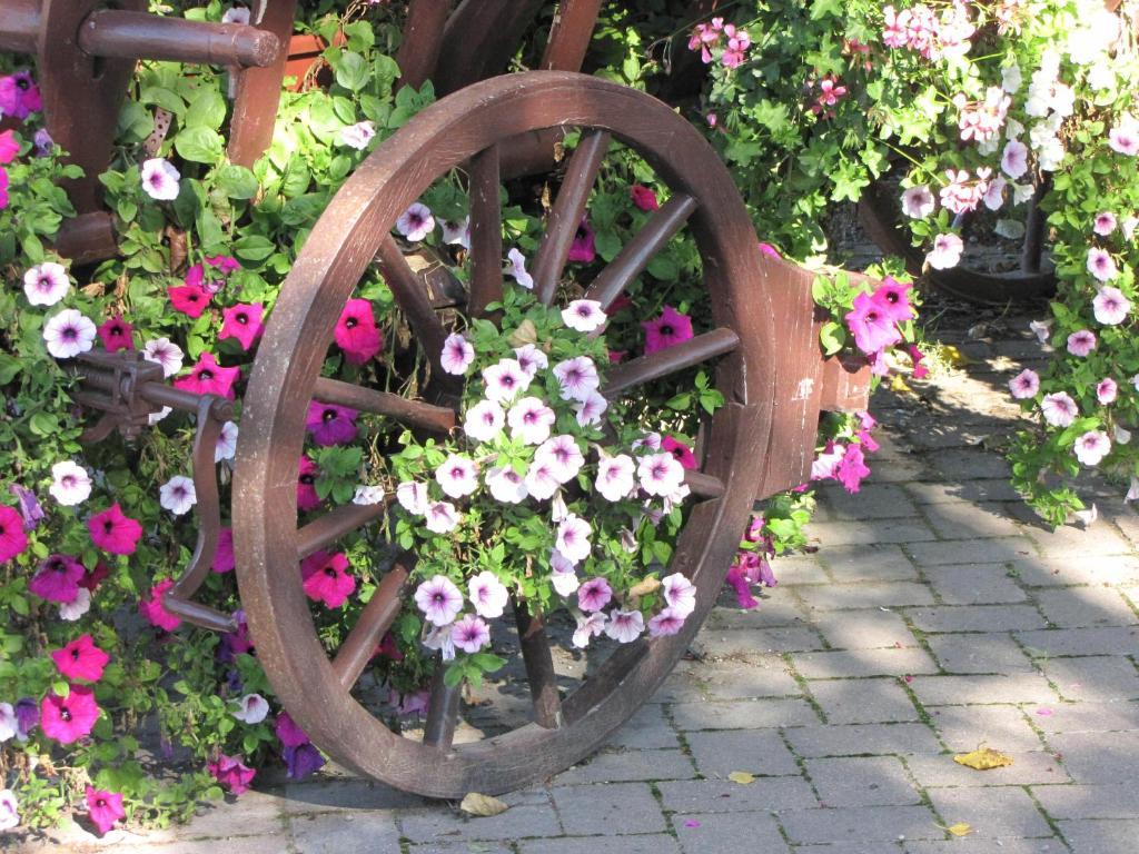Hotel Le Caballin Vogelgrun Dış mekan fotoğraf
