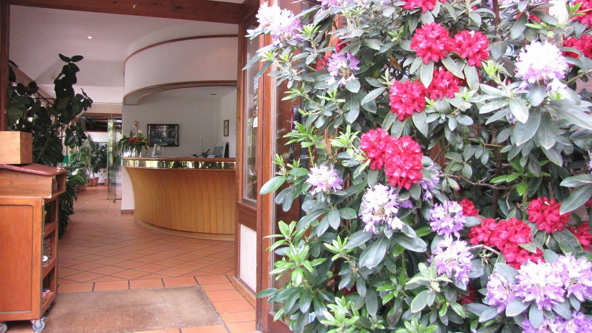 Hotel Le Caballin Vogelgrun Dış mekan fotoğraf